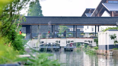 住在風景里，何必還要去找風景——宜興網站建設讓美麗鄉村觸手可及