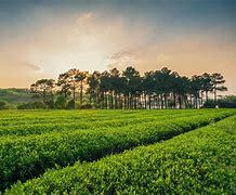 宜興西渚鎮(zhèn)網(wǎng)站建設 探索智慧鄉(xiāng)鎮(zhèn)發(fā)展的新路徑與未來展望